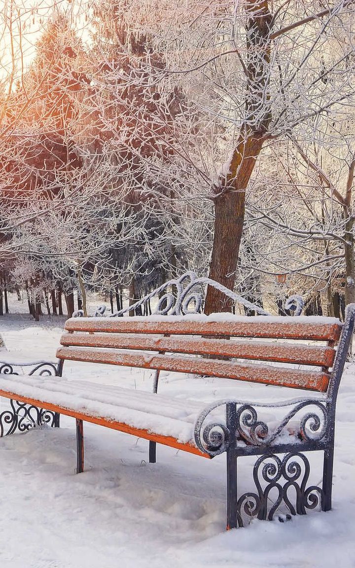 Seasons