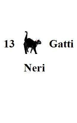 13 gatti neri