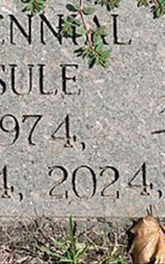 The Time Capsule