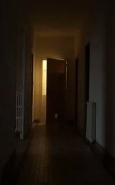 The Pine Door