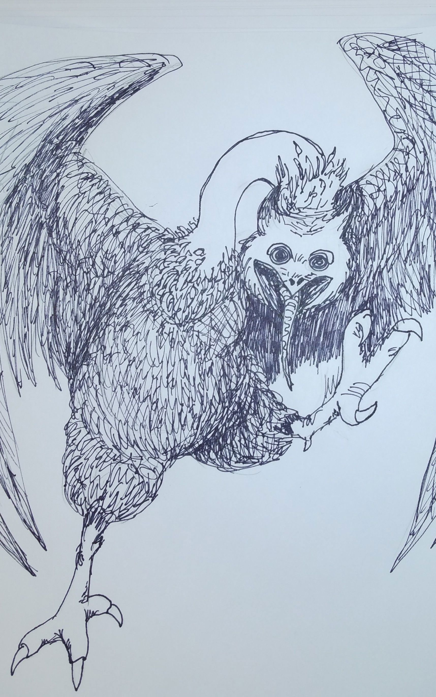 The Booger Owl